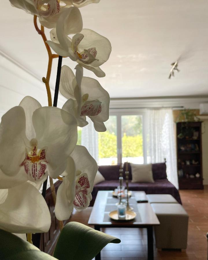 Villa Anasandra - 3 Bedroom Villa Kompítsion Kültér fotó